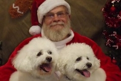 christmas_2017_003
