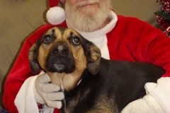 christmas_2017_004