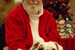 christmas_2017_005