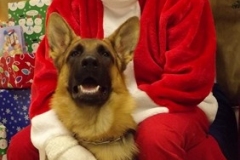 christmas_2017_006