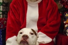 christmas_2017_007
