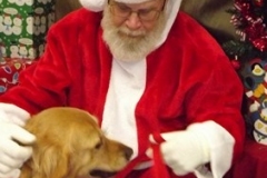 christmas_2017_008