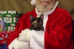 christmas_2017_009