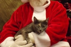 christmas_2017_011