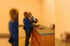 clinic_tour_010
